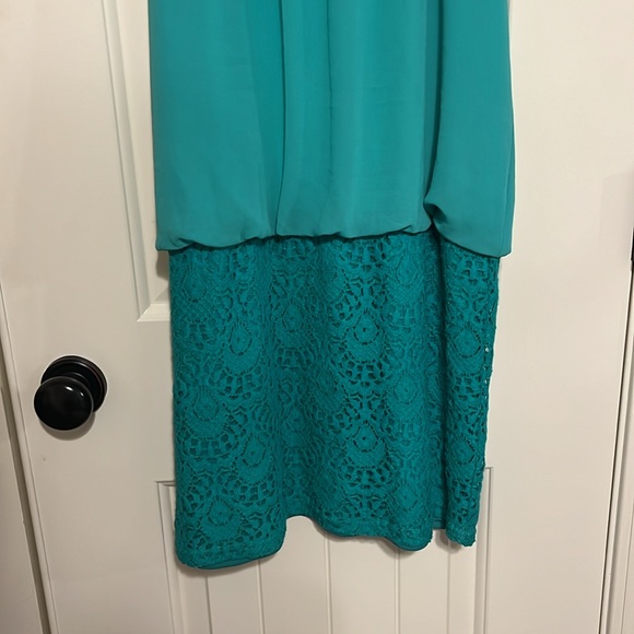 2 for $15! Naked Zebra Dress - Picture 4 of 6